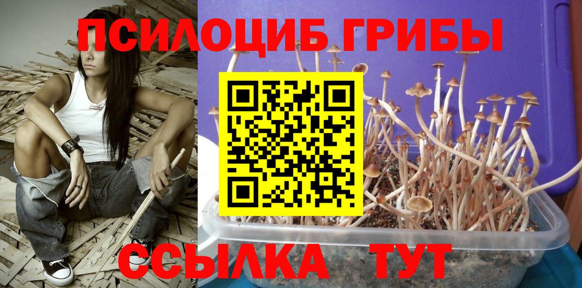 закладки  Галлюциногенные грибы мухоморы  Вход с VPN  Пыть-Ях 