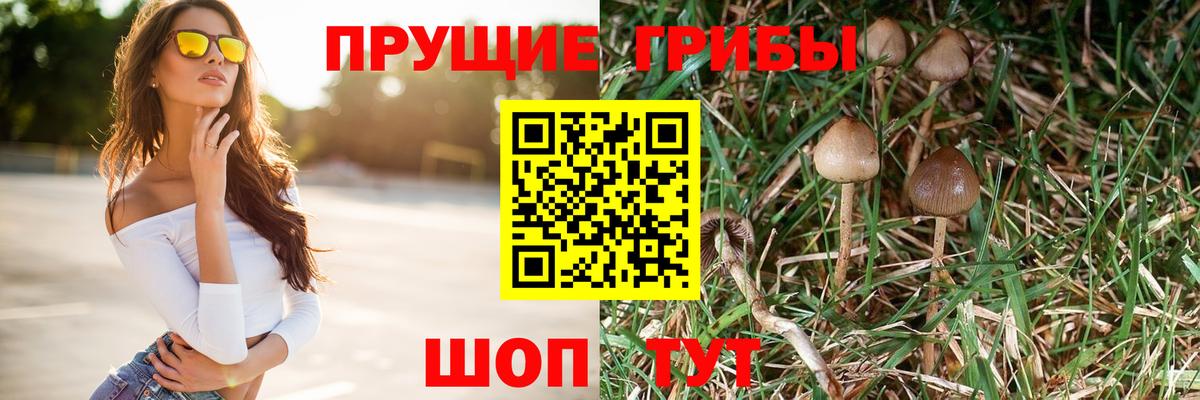 Псилоцибиновые грибы Psilocybe Пыть-Ях